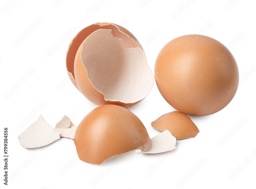 Chicken egg and pieces of shell isolated on white Chicken egg and pieces of shell isolated on white