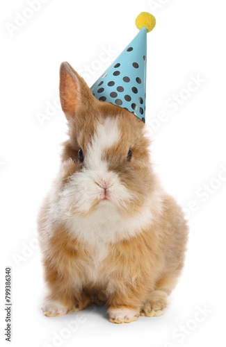 Cute bunny with party hat on white background