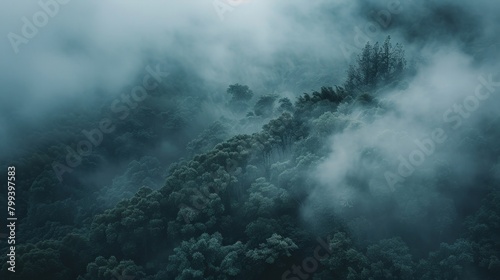 A mountain shrouded in mist and surrounded by trees