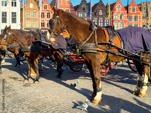Horse carriages in the city square of Bruges, a tourist city in Belgium.