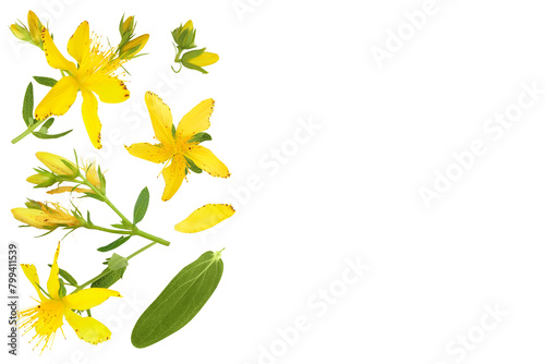 saint john's wort or Hypericum flowers isolated on white background. Top view with copy space for your text. Flat lay photo