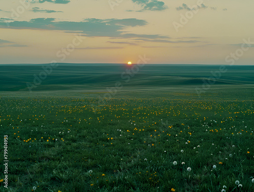 Serene Sunset Over Majestic Grassland: Tranquil Beauty Captured