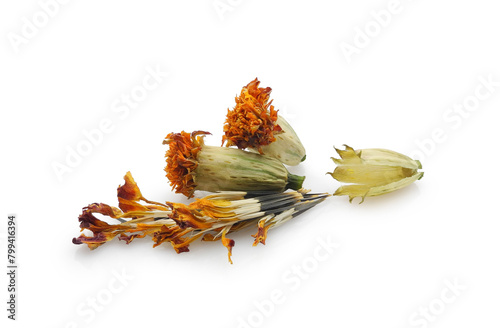 Dry tagetes or marigold flower heads with seeds isolated on white background. Annual flowers growing, gardening.	 