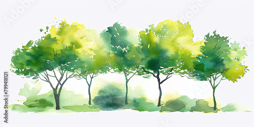 Watercolor clip-art of abstract trees and shrubs with spring green crowns isolated on white background from acrylic oil bright paint large strokes