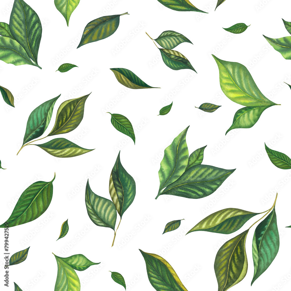 Watercolor seamless green leaves pattern with lemons and lime leave. Hand painted greenery isolated on white background. Illustration for design, print, fabric, decor, wrapping paper. Romantic Garden