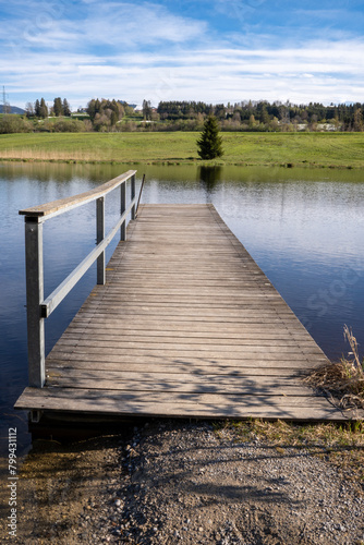 Wallpaper Mural Wooden footbridge in the Schwarzenberger Weiher, a moor lake near Oy-Mittelberg in the southern Allgäu, Germany. The lake is considered the warmest bathing lake in the Allgäu  Torontodigital.ca