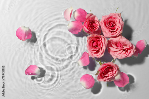 Fototapeta Naklejka Na Ścianę i Meble -  Beautiful roses and petals in water on light blue background, top view
