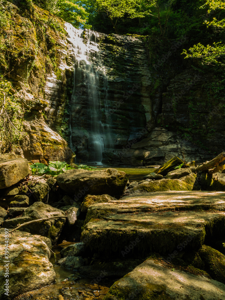 Fototapeta premium image of lush green nature in spring