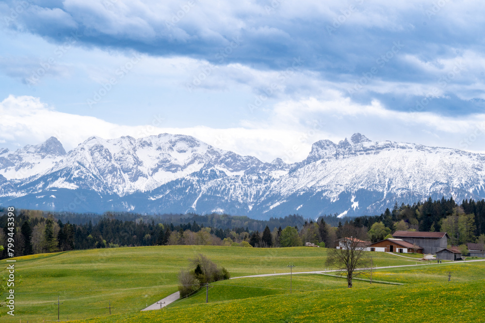 Mountain panorama in spring: dandelion meadows and forest in front of snow-covered mountains in southern Allgäu, Germany. Sky with clouds