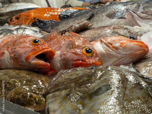 Close-up of a variety of fishes on ice offered on a fish market