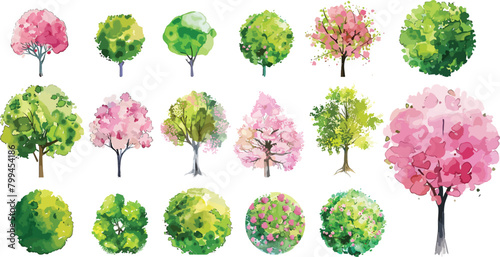 Watercolor of  pink and green blooming tree top view isolated on white background for landscape plan and architecture drawing. Elements for garden   botanical plan. Vector watercolor of tree top view