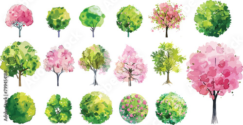 Watercolor of  pink and green blooming tree top view isolated on white background for landscape plan and architecture drawing. Elements for garden , botanical plan. Vector watercolor of tree top view