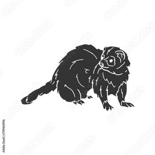 Ferret Icon Silhouette Illustration. Animal Vector Graphic Pictogram Symbol Clip Art. Doodle Sketch Black Sign.