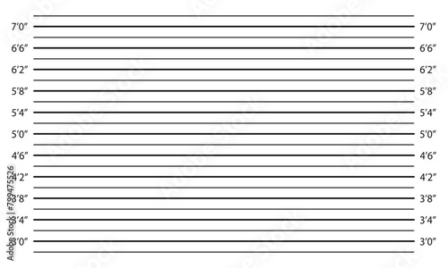 Lineup mug shot template. Empty background for burglar profile. Police inches height chart for photoshoot of wanted, arrested or suspected person identification. Vector graphic illustration.