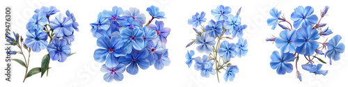 Wild Blue Phlox Flowers  Hyperrealistic Highly Detailed Isolated On Transparent Background Png File © Wander Taste