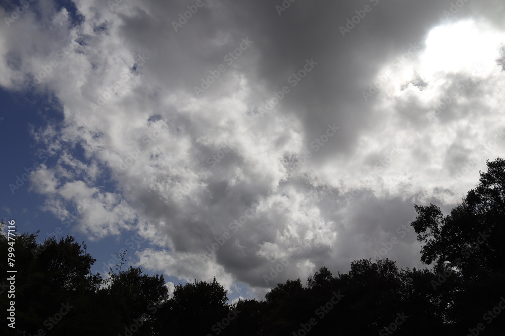 PARQUE NATURAL SIERRA DE LAS NIEVES. ANDALUCIA. ESPAÑA