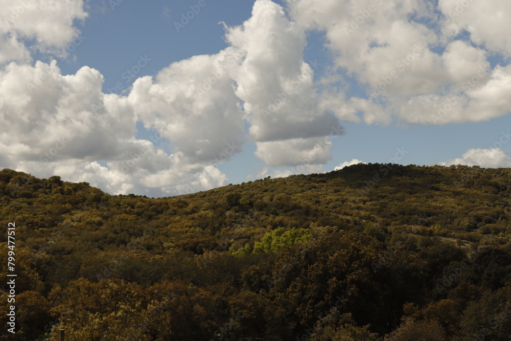 PARQUE NATURAL SIERRA DE LAS NIEVES. ANDALUCIA. ESPAÑA. PARQUE NATURAL SIERRA DE LAS NIEVES. ANDALUCIA. ESPAÑA.
