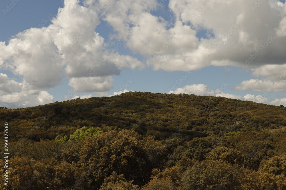PARQUE NATURAL SIERRA DE LAS NIEVES. ANDALUCIA. ESPAÑA. PARQUE NATURAL SIERRA DE LAS NIEVES. ANDALUCIA. ESPAÑA.