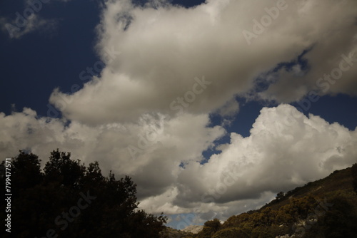 PARQUE NATURAL SIERRA DE LAS NIEVES. ANDALUCIA. ESPAÑA