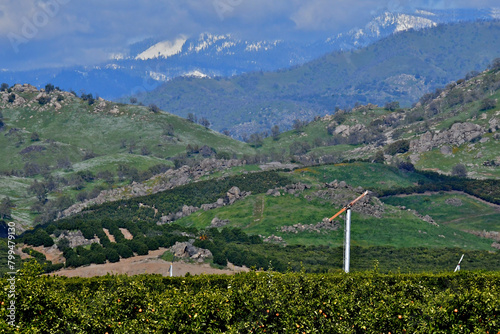 Citrus orchards thrive at the base of snow covered Sierra Nevada in Fresno, California.  Wind machines, “Frost Fans” protect crop during heavy advective or radiational frosts by mixing layers  photo