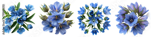 Prairie Gentian Flowers Top View Hyperrealistic Highly Detailed Isolated On Transparent Background Png File