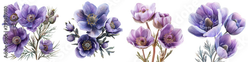 Pasque Flower Flowers  Hyperrealistic Highly Detailed Isolated On Transparent Background Png File photo