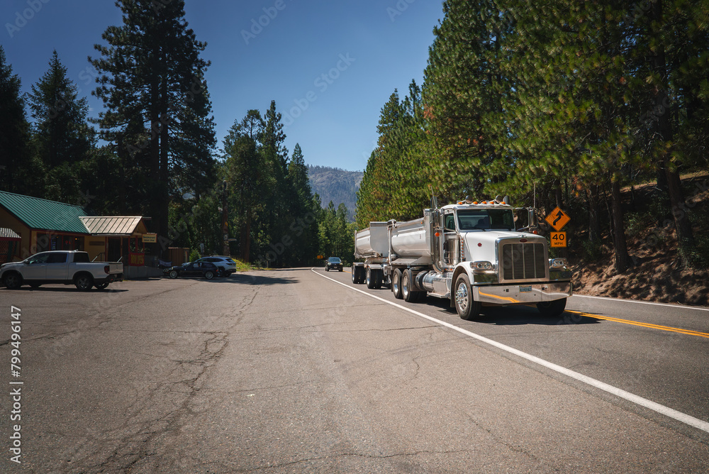 Classic American truck travels on a road lined with tall pine trees. Clear, sunny day with buildings in the background.