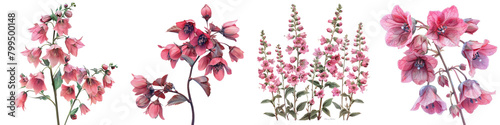 Coral Bells Flowers Hyperrealistic Highly Detailed Isolated On Transparent Background Png File