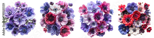 Anemones Flowers Top View Hyperrealistic Highly Detailed Isolated On Transparent Background Png File