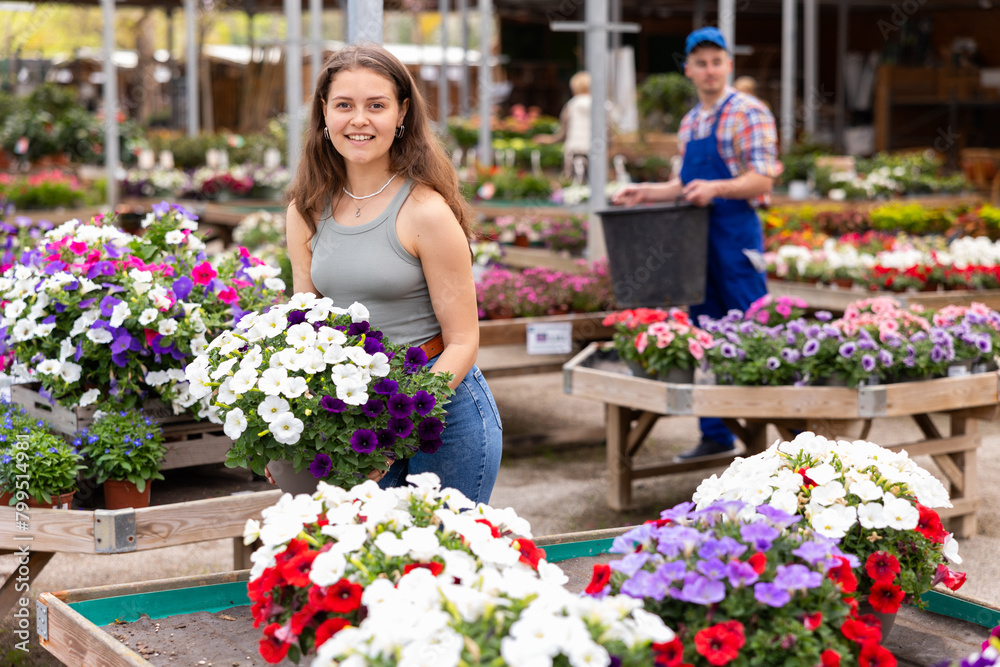 Fototapeta premium Girl customer hold ornamental flowerpot with composition of contrasting white and purple ampel petunias Surfinia. Ready-made solution for decorating house territory, flower pot with flower for hanging