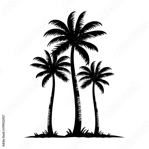 palm tree