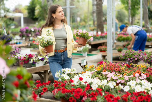 In flower shop, girl chooses flowering petunia atkinsiana plant for outdoor garden decor. Buyer curiously examines flowers, to get acquainted with assortment of trading platform. photo