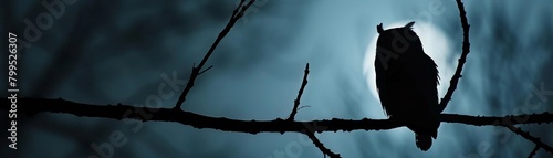 Hooting Owl, A silhouette of an owl perched on a branch, hooting softly in the moonlight photo