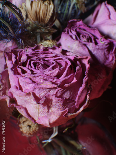 Flower Petal Texture