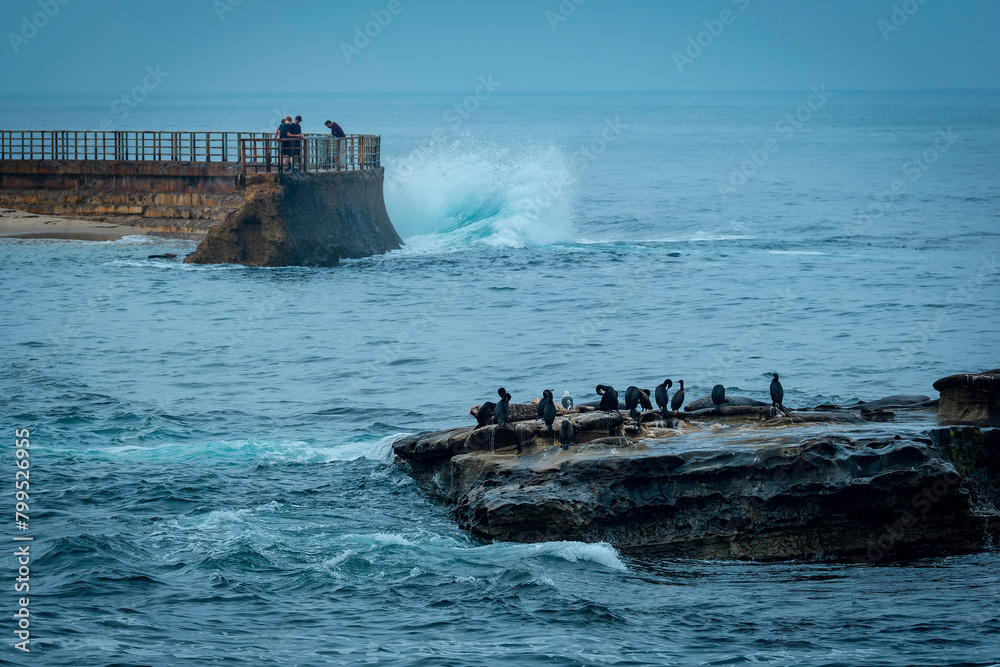 Beach waves with birds