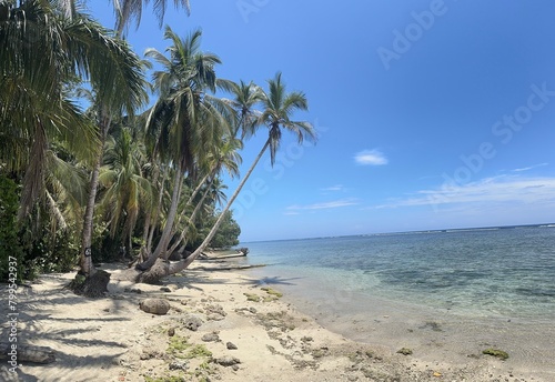 tropical beach of costa rica- cahuita 