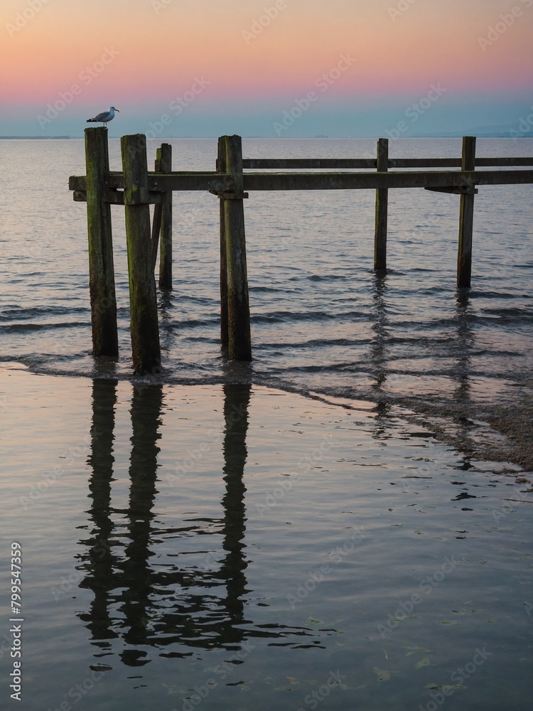 Seagull perches atop wooden post of incomplete pier, silhouetted against soft hues of sunset over calm sea. Serene waters, reflecting gradient sky, create atmosphere of tranquility. Seagull perches atop wooden post of incomplete pier, silhouetted against soft hues of sunset over calm sea. Serene waters, reflecting gradient sky, create atmosphere of tranquility.
