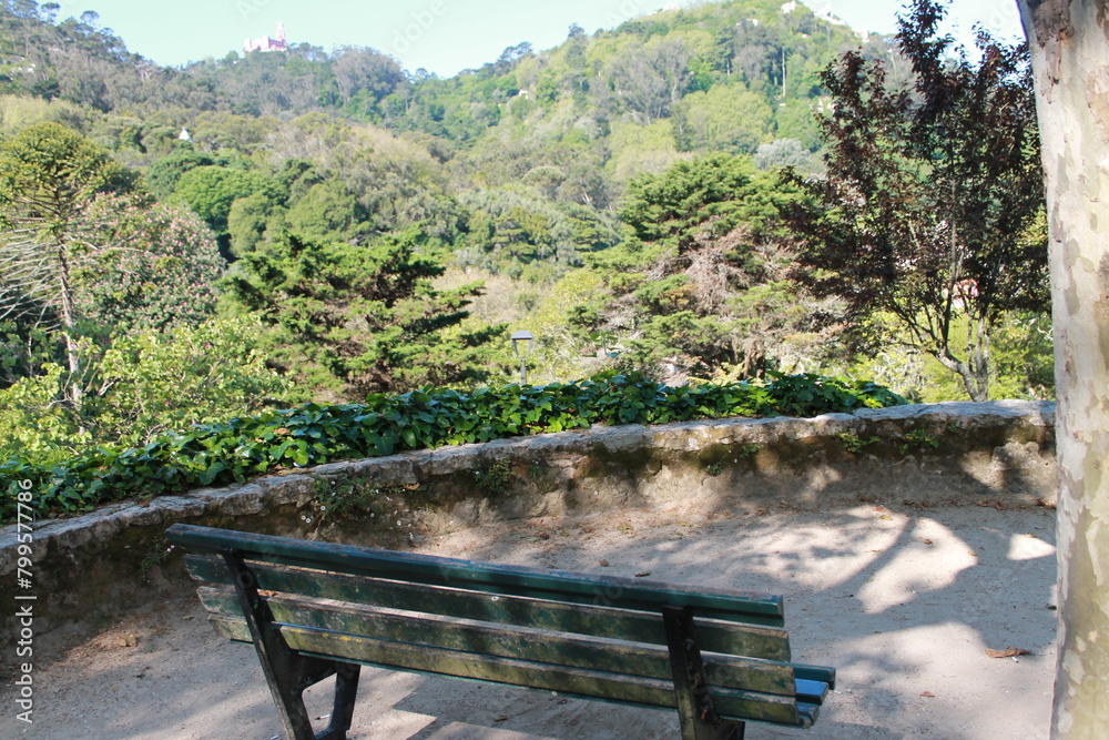 bench in the forest bench in the forest