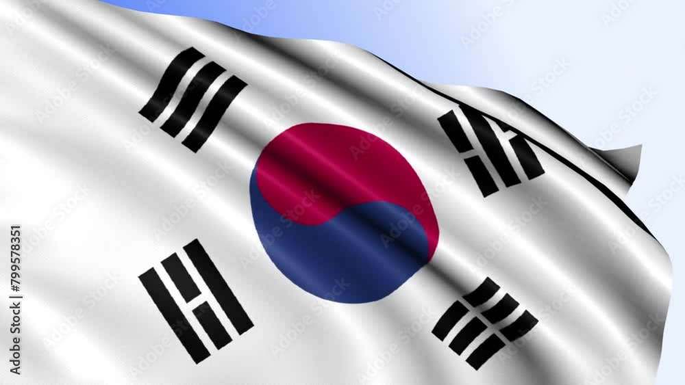 Korea South Flag Loop Korea South Flag Loop