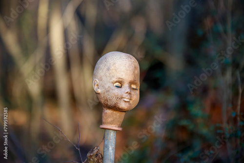 Φωτογραφία Old and weathered creepy doll head on a metal poll in the middle of the woods