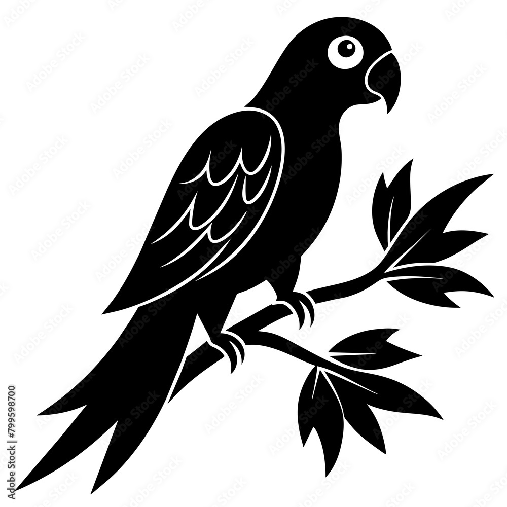 Obraz premium black and white bird