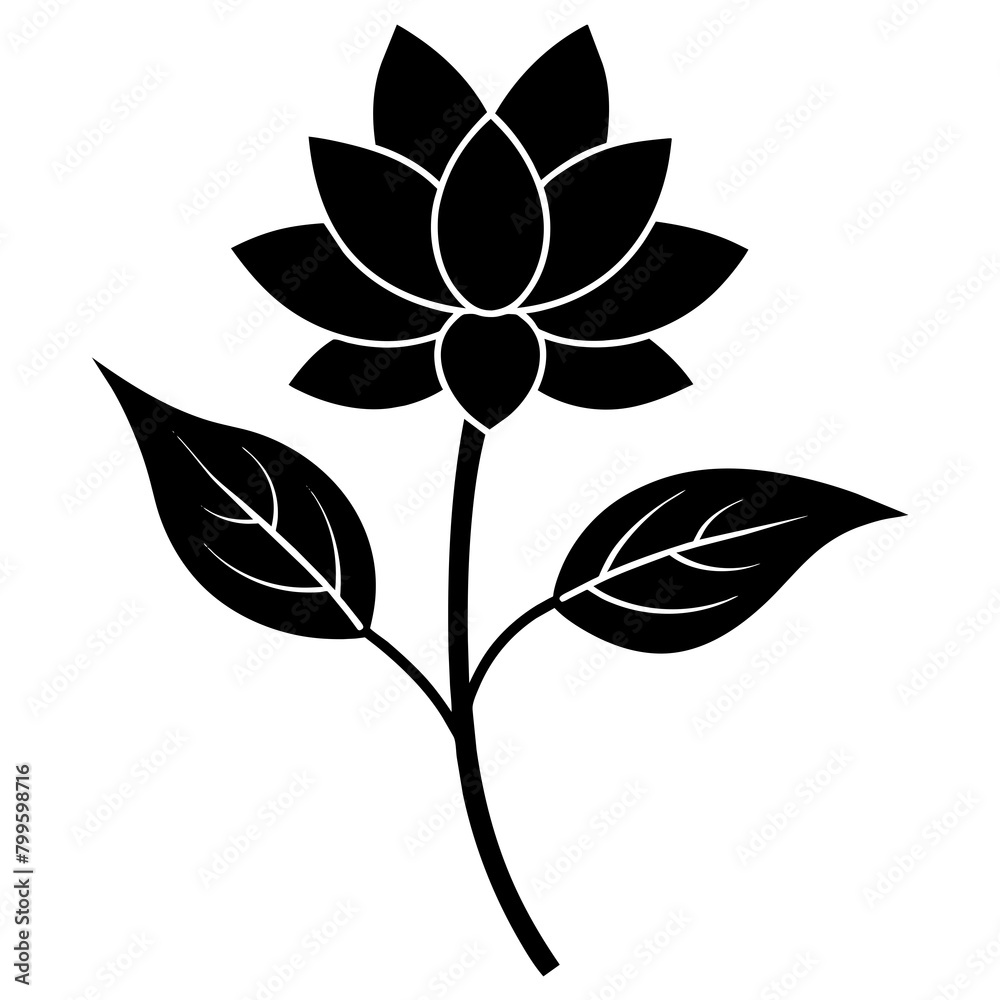silhouette of a flower silhouette of a flower