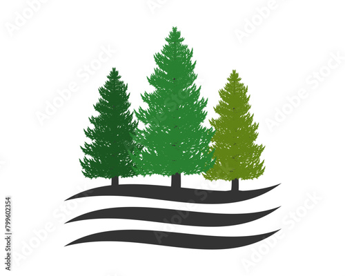 three pine trees