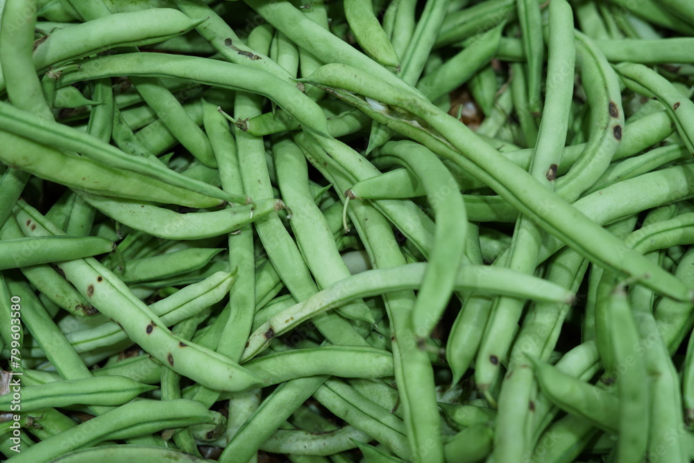 Green pod and Vegetables from Sacolão market Green pod and Vegetables from Sacolão market