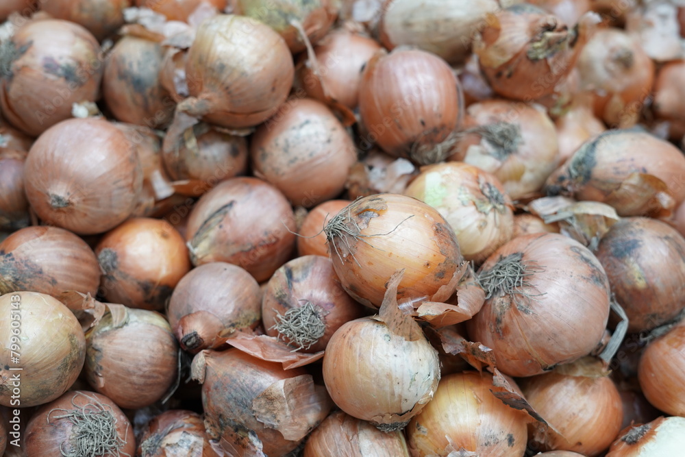 Onion and Vegetables from Sacolão market Onion and Vegetables from Sacolão market