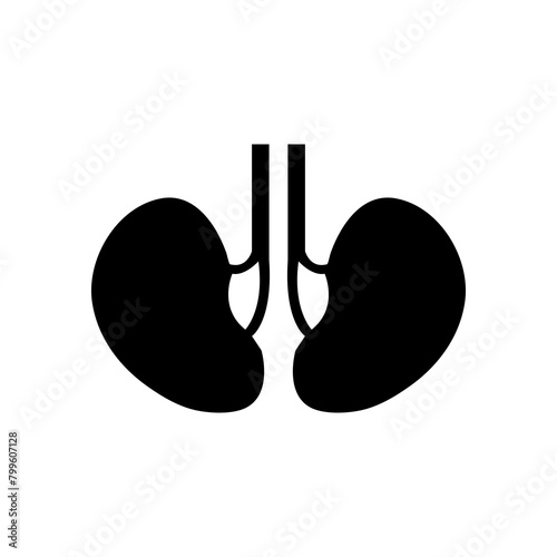 kidneys icon. vector flat trendy style illustration for web and app..eps