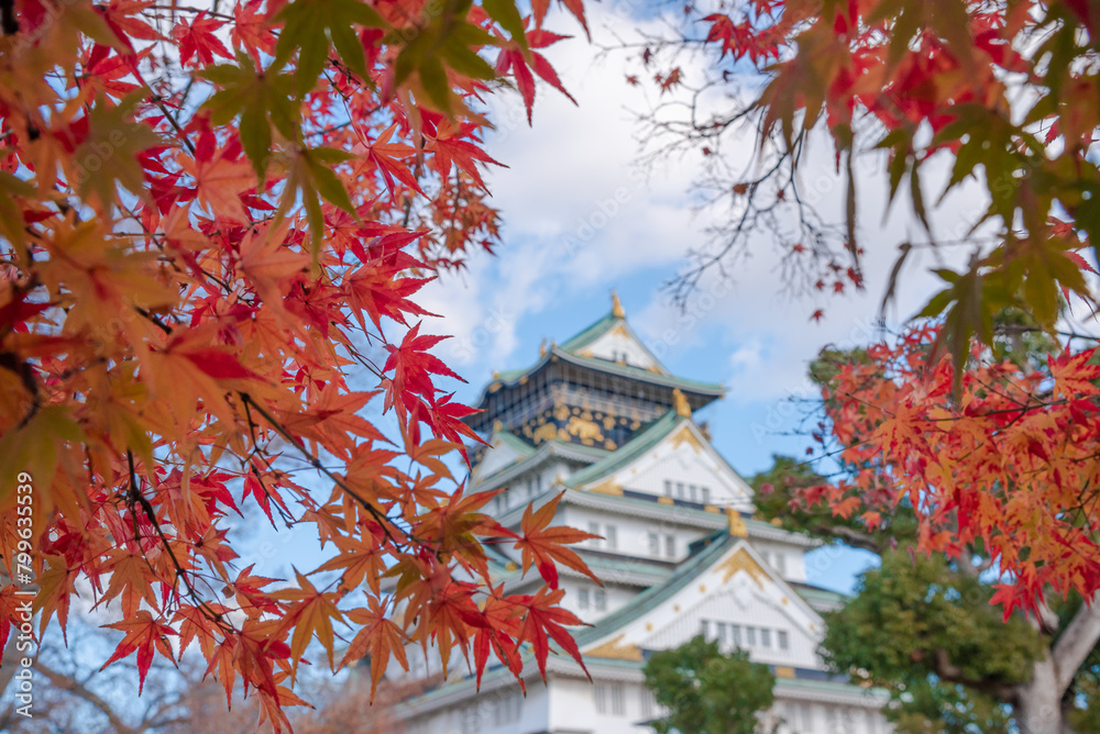 The castle is one of Japan's most famous landmarks and it played a major role in the unification of Japan during the sixteenth century, Osaka Castle Japan The castle is one of Japan's most famous landmarks and it played a major role in the unification of Japan during the sixteenth century, Osaka Castle Japan