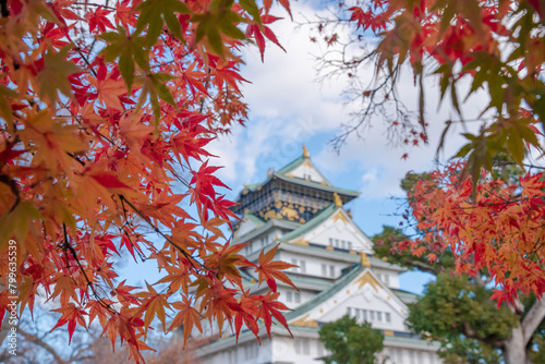 The castle is one of Japan s most famous landmarks and it played a major role in the unification of Japan during the sixteenth century  Osaka Castle Japan