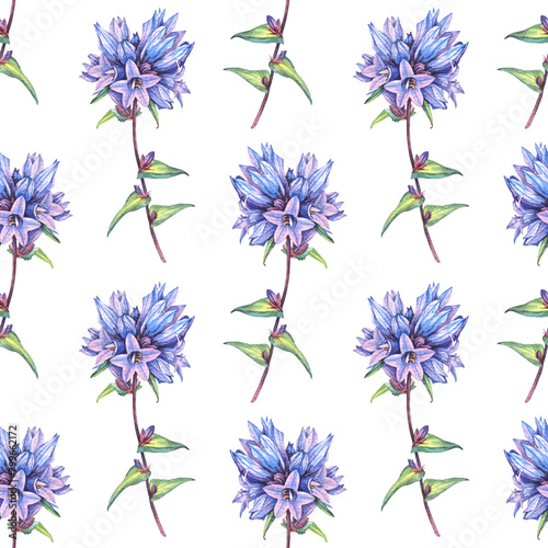 Seamless pattern with watercolor bellflower Campanula on white background. Hand-drawn spring and summer blue purple flower. Art for florist wallpaper or wrapping. Wildflower for sketchbook and card