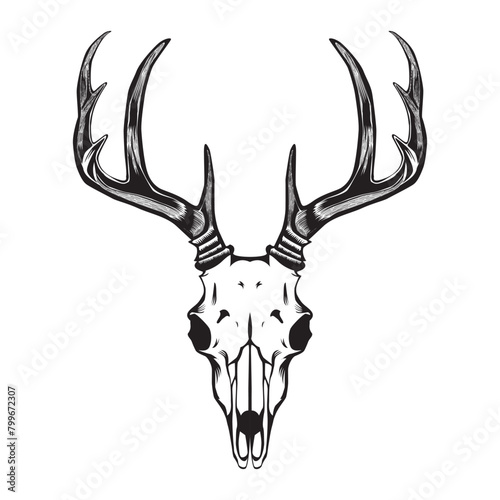 deer skull art design